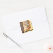 Hammyville - Cute Hamster Vierkante Sticker (Envelop)