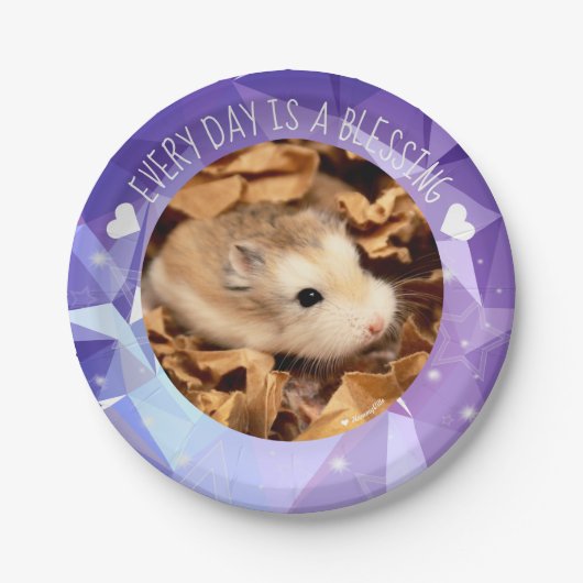 Hammyville - Cute Robo Hamster Blessing Papieren Bordje (Voorkant)