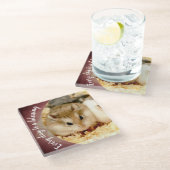 Hammyville - Cute Robo Hamster Glazen Onderzetter (Schuin)