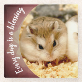 Hammyville - Cute Robo Hamster Glazen Onderzetter