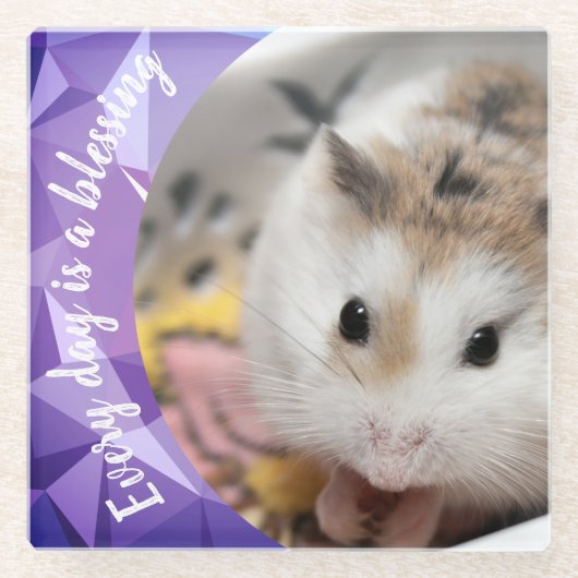 Hammyville - Cute Robo Hamster Glazen Onderzetter (Voorkant)