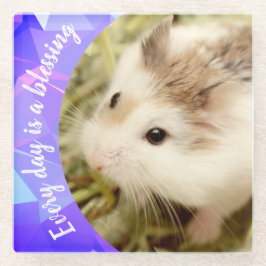 Hammyville - Cute Robo Hamster Glazen Onderzetter