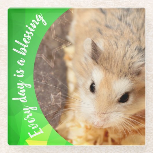 Hammyville - Cute Robo Hamster Glazen Onderzetter (Voorkant)