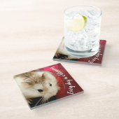 Hammyville - Cute Robo Hamster Glazen Onderzetter (Schuin)