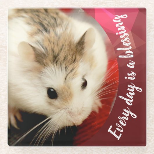 Hammyville - Cute Robo Hamster Glazen Onderzetter (Voorkant)