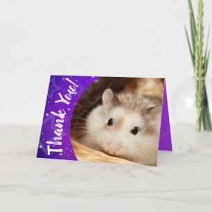Hammyville - de Leuke Hamster dankt u Bedankkaart
