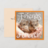 Hammyville - Hamster Best Friends Forever (Voorkant / Achterkant)