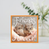 Hammyville - Hamster Best Friends Forever (Staand voorkant)