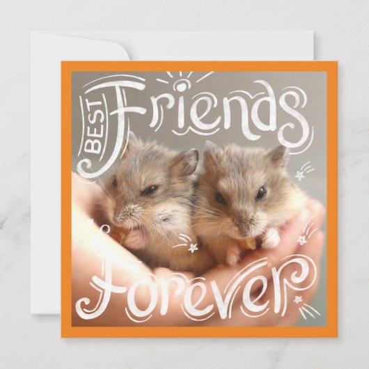 Hammyville - Hamster Best Friends Forever (Voorkant)
