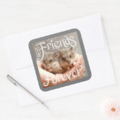 Hammyville - Hamster Best Friends Forever Vierkante Sticker (Envelop)
