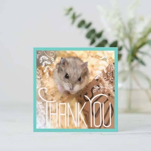 Hammyville - Hamster Dank je (Staand voorkant)