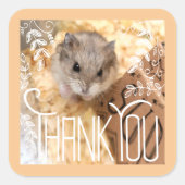 Hammyville - Hamster Dank je Vierkante Sticker (Voorkant)