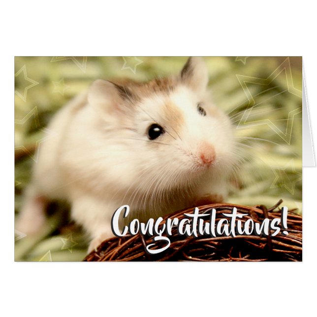 Hammyville - Hamster Gefeliciteerd (Voorkant Horizontaal)