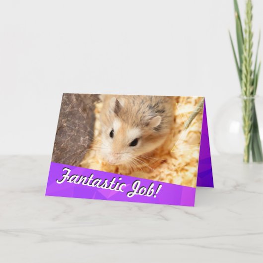Hammyville - Hamster Gefeliciteerd Kaart (Voorkant)