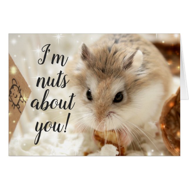 Hammyville - Hamster Nuts over jou (Voorkant Horizontaal)