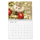 Hammyville - Lichte sterren Kalender (Feb 2027)