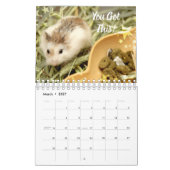 Hammyville - Lichte sterren Kalender (Mar 2027)