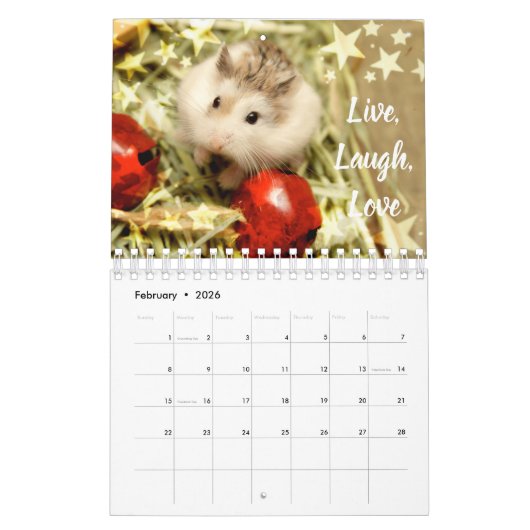 Hammyville - Lichte sterren Kalender (Feb 2026)