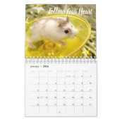 Hammyville - Lichte sterren Kalender (Jan 2026)