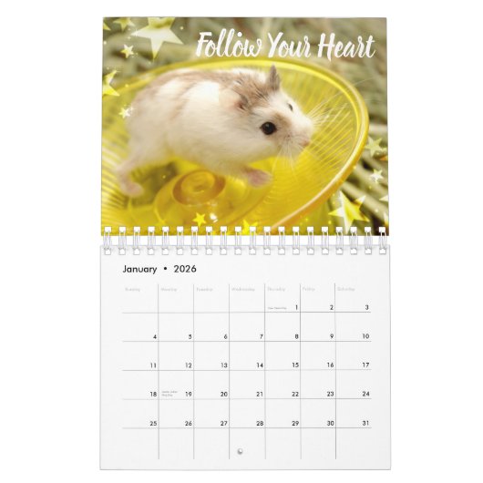 Hammyville - Lichte sterren Kalender (Jan 2026)