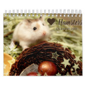 Hammyville - Lichte sterren Kalender (Hoes)