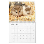 Hammyville - Light en Floral Kalender (Jan 2027)