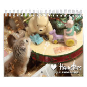 Hammyville - Light en Floral Kalender (Hoes)