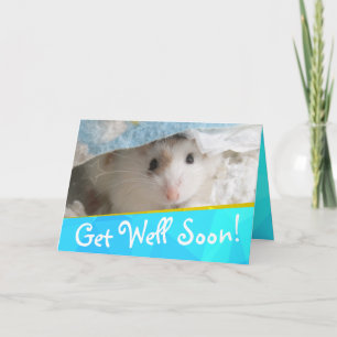 Hammyville - Schattige Hamster Get Well Binnenkort Kaart
