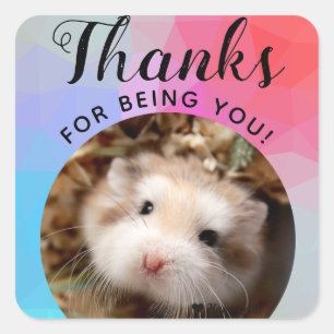 HammyVille - Schattigee Hamster Bedankt voor Being Vierkante Sticker