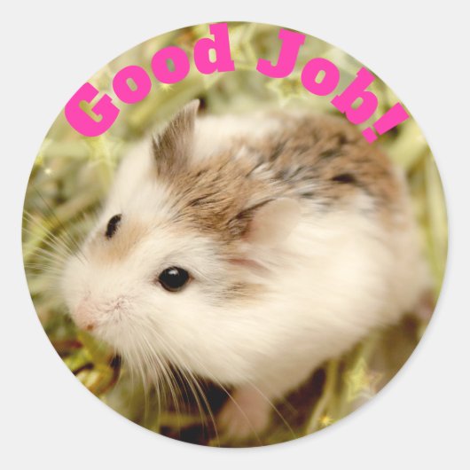 Hammyville - Schattigee Hamster Goed Werk Ronde Sticker (Voorkant)