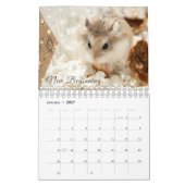 Hammyville - Sparkle Kalender (Jan 2027)