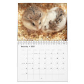 Hammyville - Sparkle Kalender (Feb 2027)