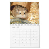 Hammyville - Sparkle Kalender (Mar 2027)