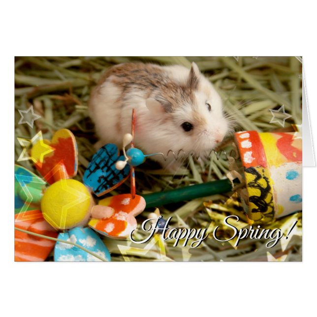 Hammyville - Spring Flower Hamster (Voorkant Horizontaal)