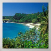 Hamoa Beach Hana Maui Poster (Voorkant)