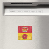 Hampshire Magneet (Insitu (Vaatwasser))