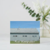 Hampton Beach, New Hampshire seagulls Briefkaart (Staand voorkant)