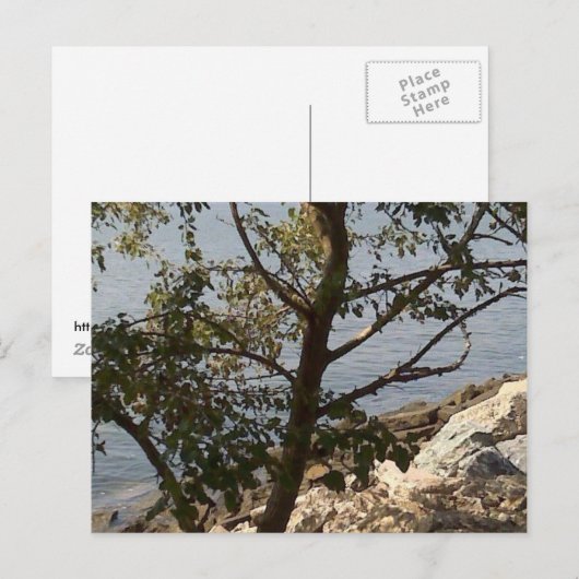 Hampton, VA chesapeake bay view Briefkaart (Voorkant / Achterkant)