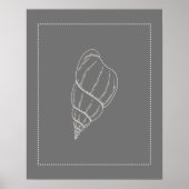 Hamptons Style Zee Snagelschil Shell Poster (Voorkant)