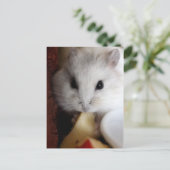 Hamsteer Briefkaart (Staand voorkant)