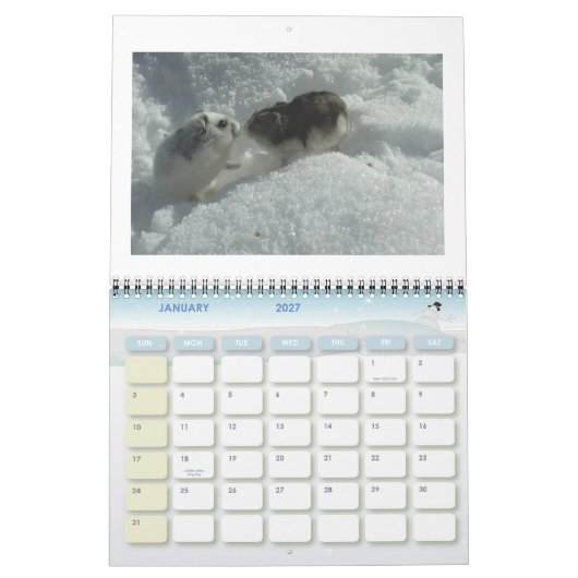 hamster1, HAMSTERS, kalender van 2008 (Jan 2027)