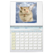 hamster1, HAMSTERS, kalender van 2008 (Feb 2027)