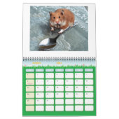 hamster1, HAMSTERS, kalender van 2008 (Mar 2026)