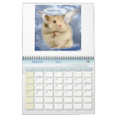 hamster1, HAMSTERS, kalender van 2008 (Feb 2026)