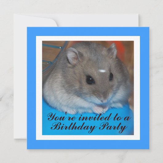 Hamster Birthday Party Invitation Kaart (Voorkant)