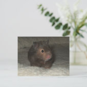 Hamster Briefkaart (Staand voorkant)