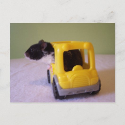 Hamster briefkaart (Voorkant)
