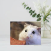 Hamster Briefkaart (Staand voorkant)