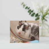 Hamster Briefkaart (Staand voorkant)