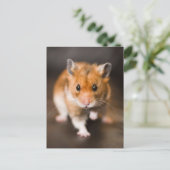 Hamster Briefkaart (Staand voorkant)